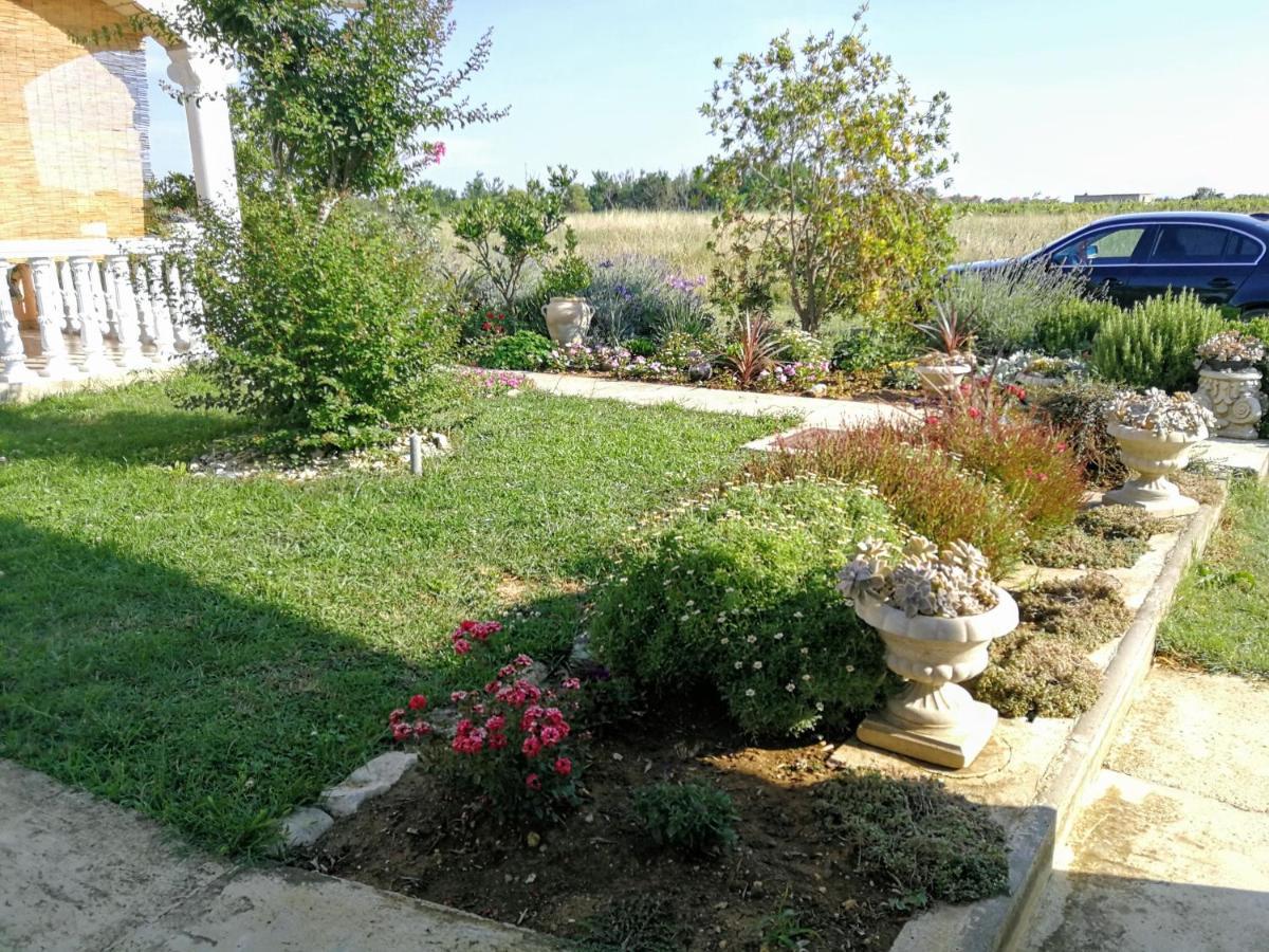Villa Flora Maris Apartments Privlaka  Dış mekan fotoğraf