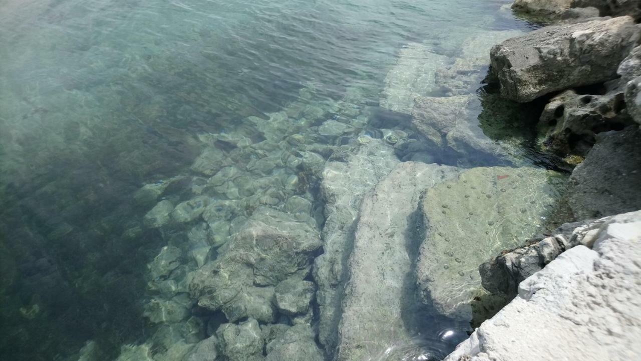 Villa Flora Maris Apartments Privlaka  Dış mekan fotoğraf